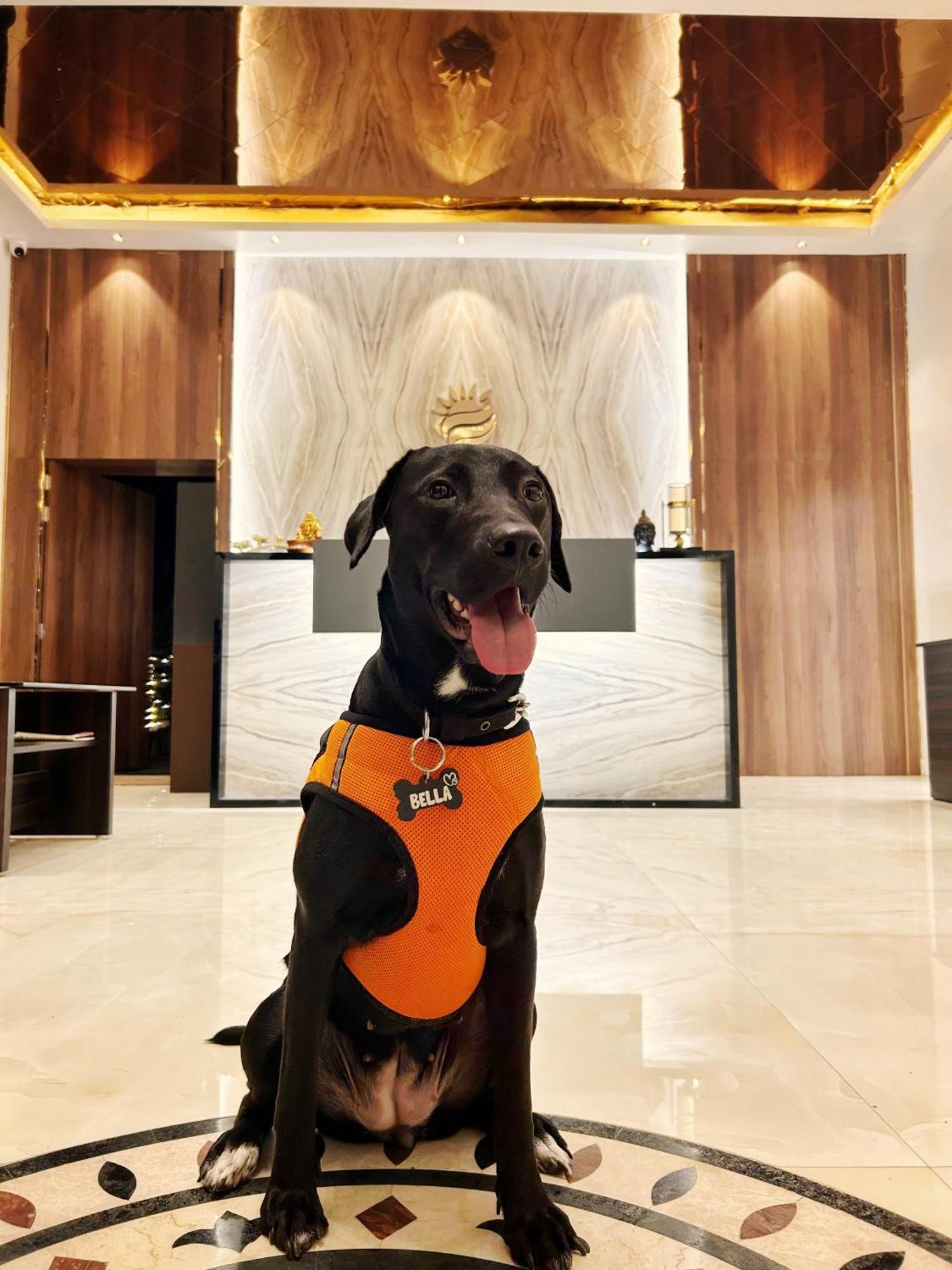 Hotel Grand Puri